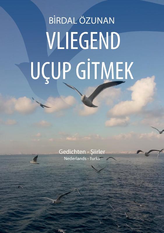 Omslag van Vliegend uçup gitmek