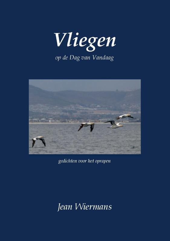 Omslag van Vliegen