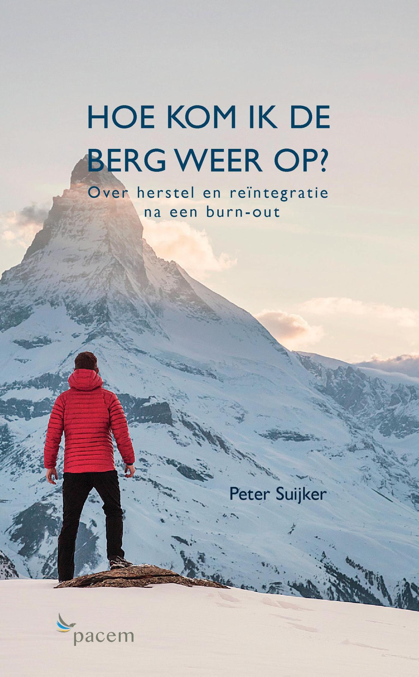 Omslag van Hoe kom ik de berg weer op?