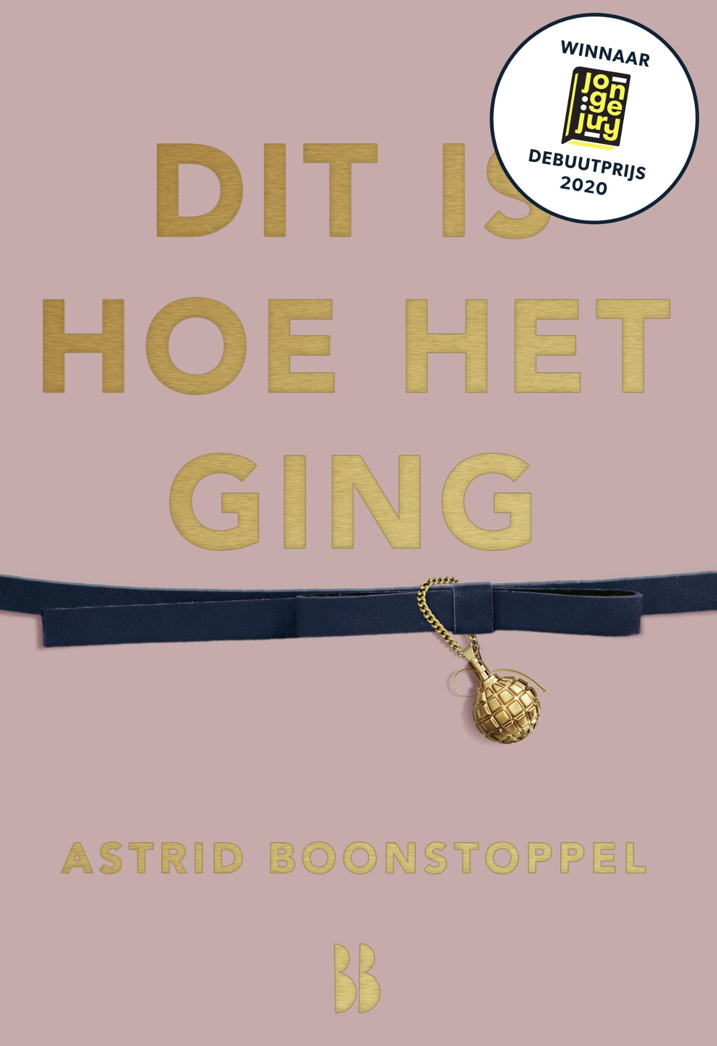 Omslag van Dit is hoe het ging