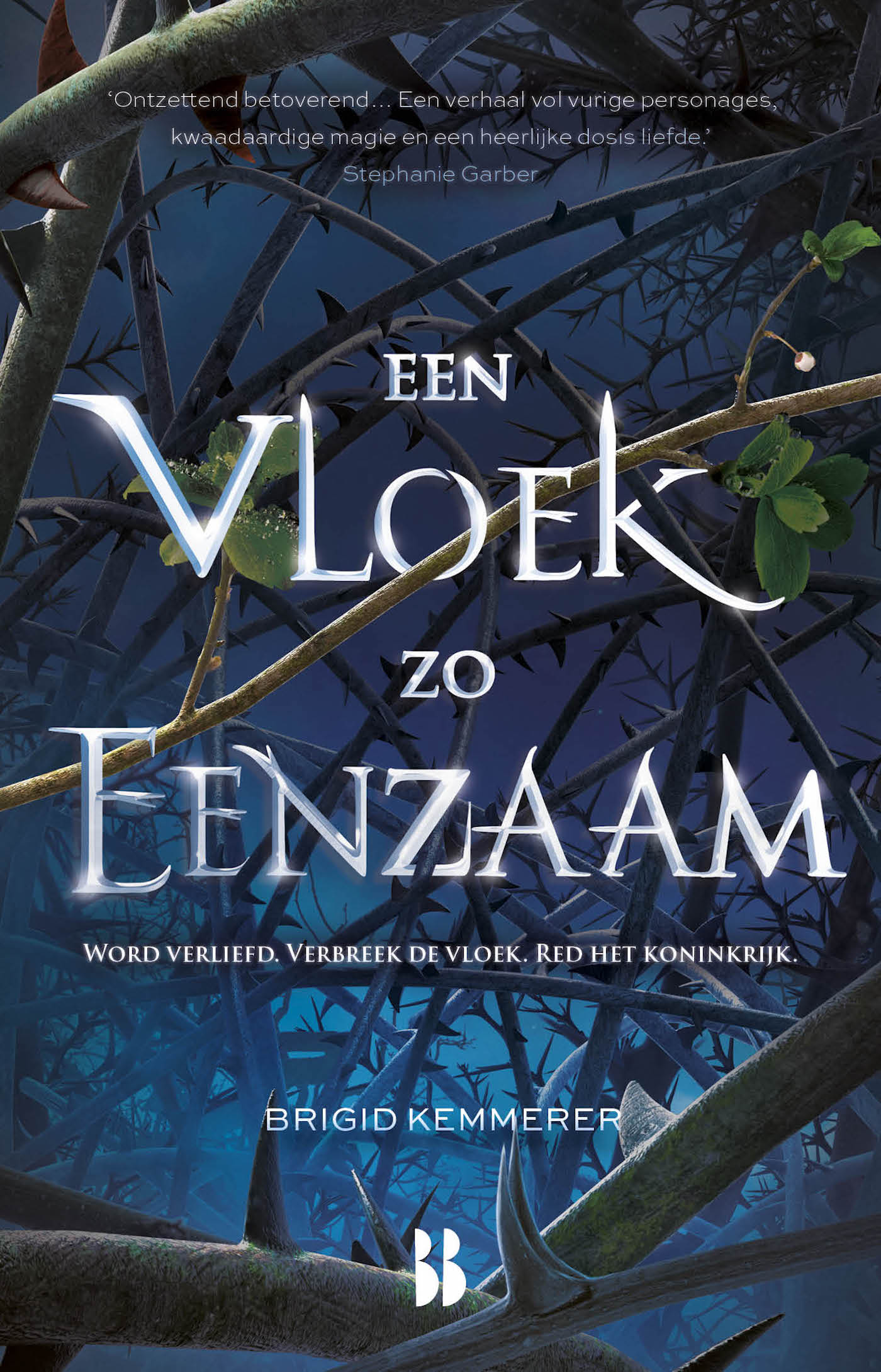 Omslag van Een vloek zo eenzaam