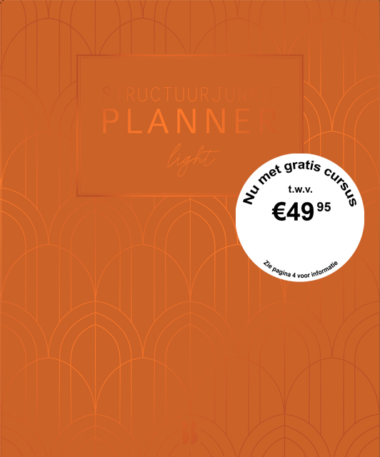 Omslag van Structuurjunkie planner light