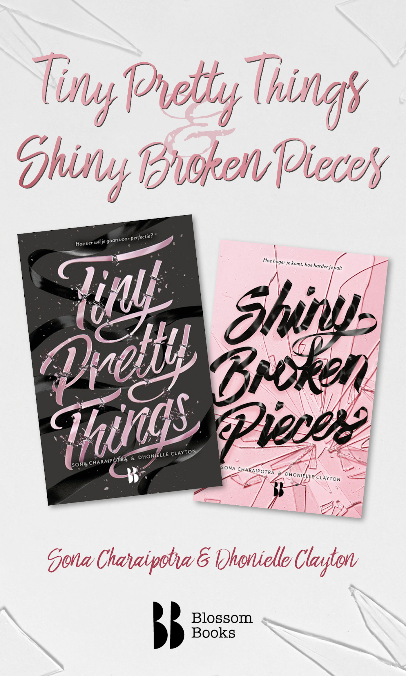 Omslag van Tiny pretty things & Shiny broken pieces