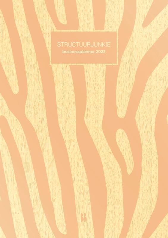 Omslag van Structuurjunkie Businessplanner 2023