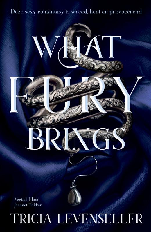 Omslag van What fury brings