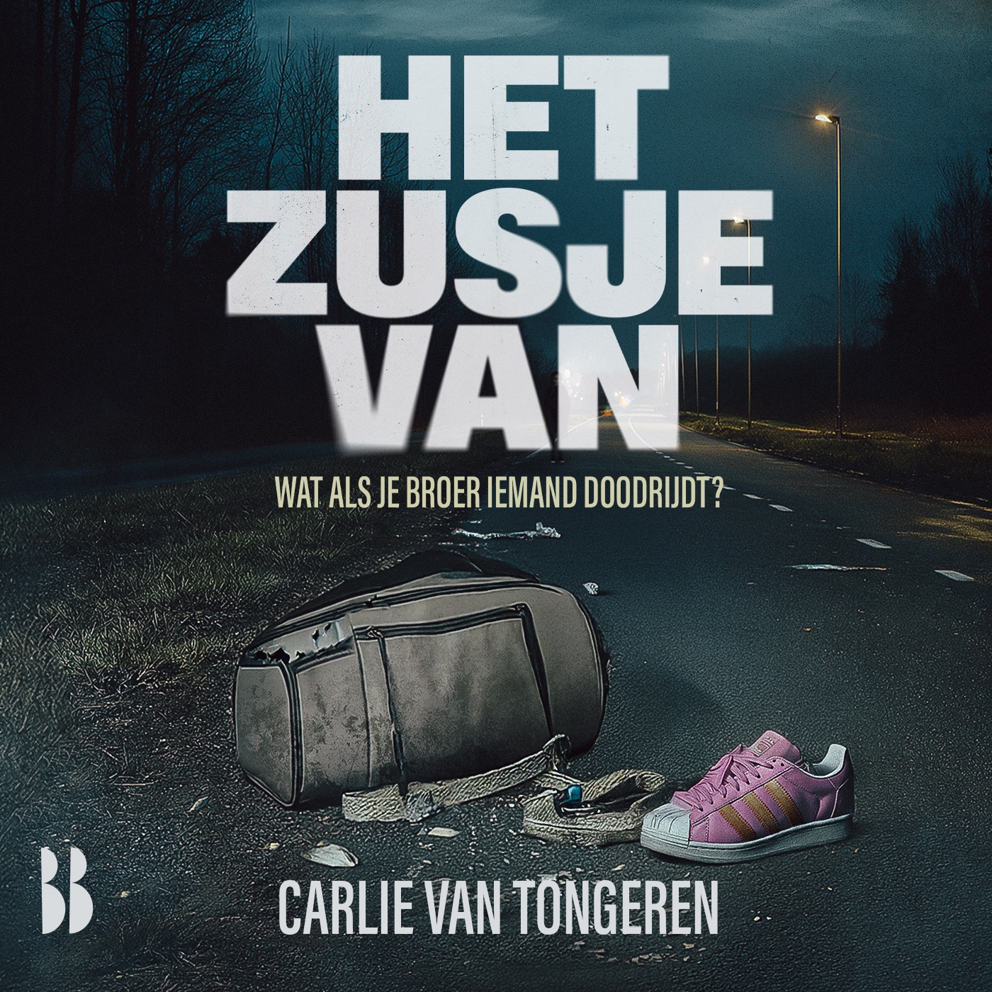 Omslag van Het zusje van