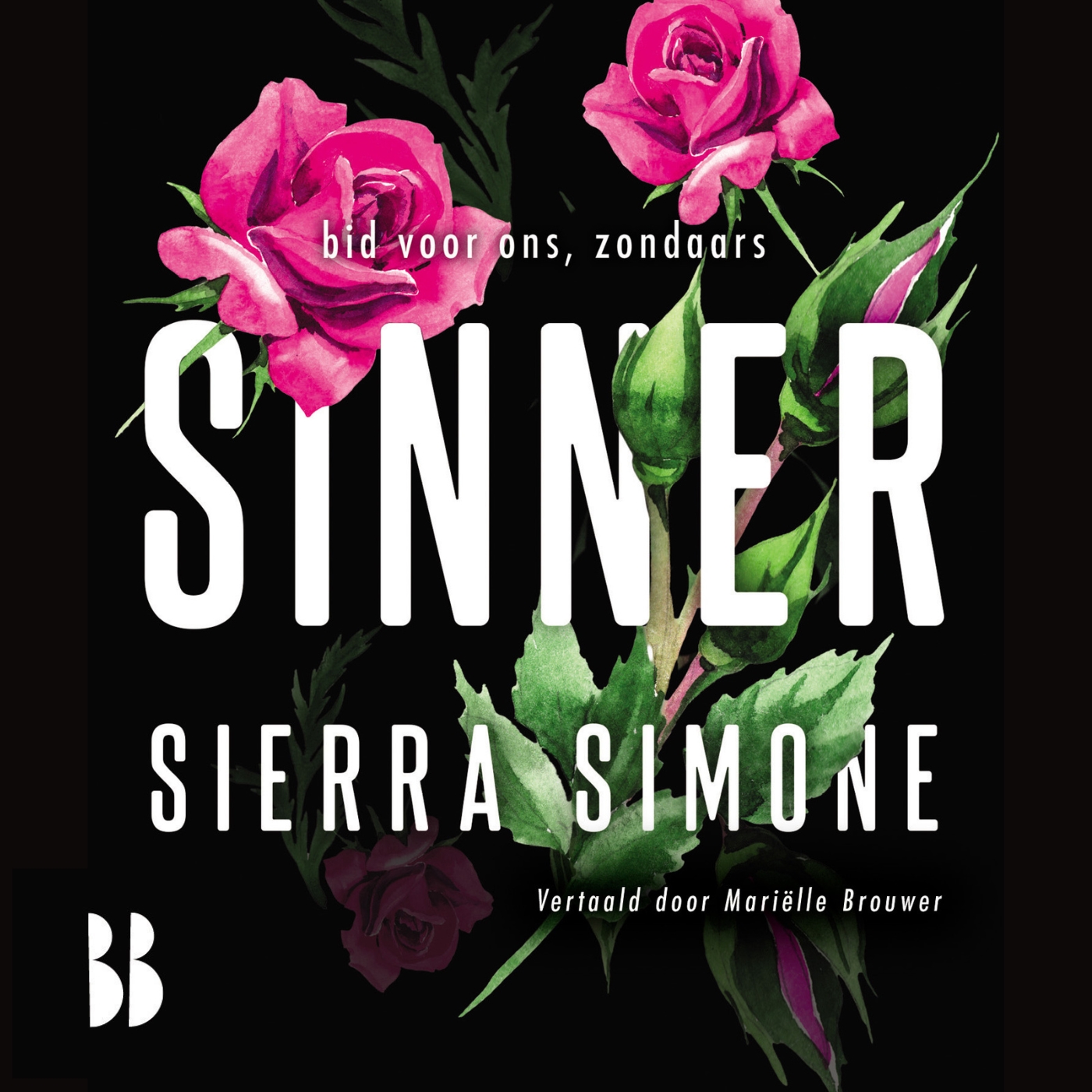 Omslag van Sinner