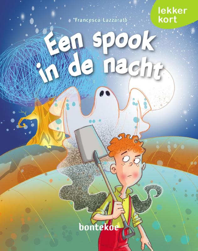 Omslag van Een spook in de nacht