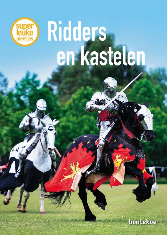 Omslag van Ridders en kastelen
