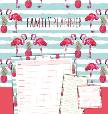 Omslag van Family planner flamingo