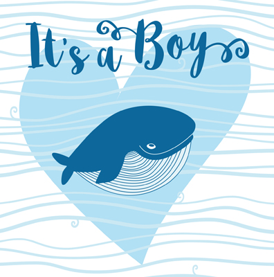 Omslag van It's a boy