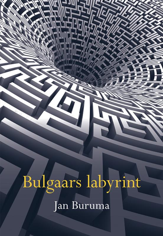 Omslag van Bulgaars labyrint
