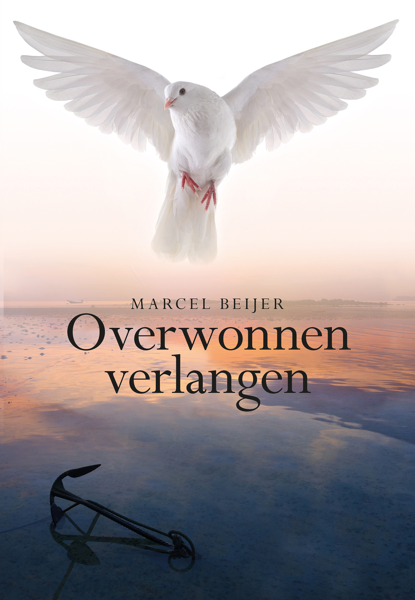 Omslag van Overwonnen verlangen