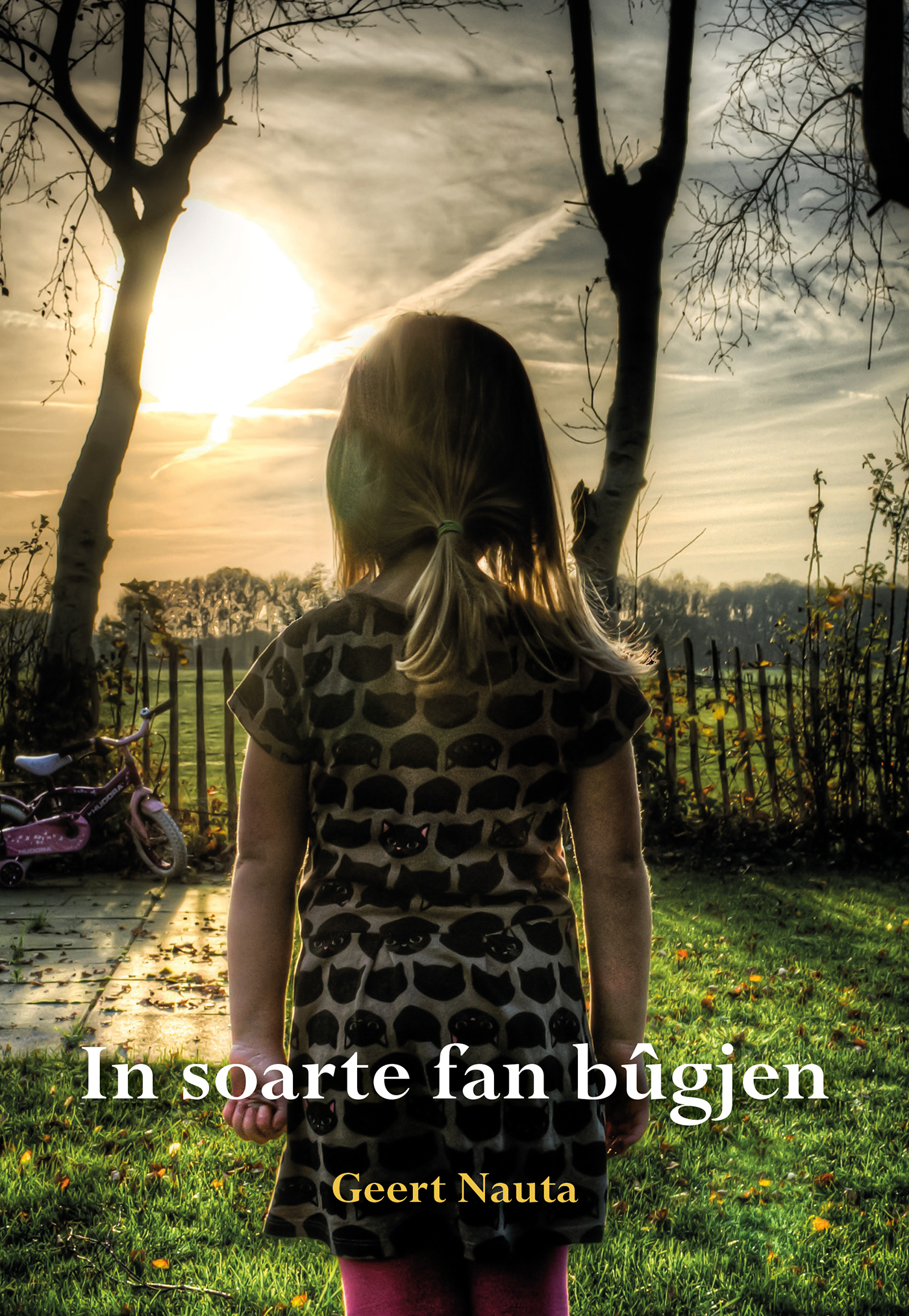 Omslag van In soarte fan bûgjen