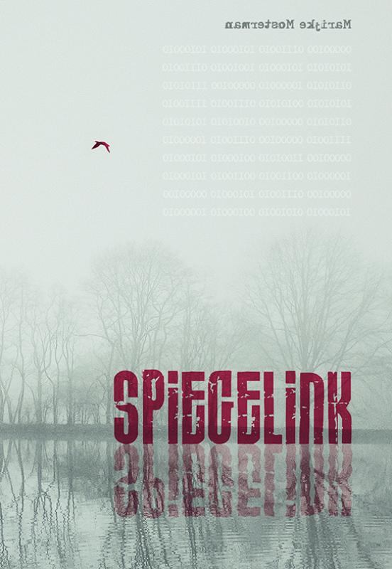 Omslag van Spiegelink