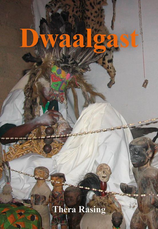 Omslag van Dwaalgast