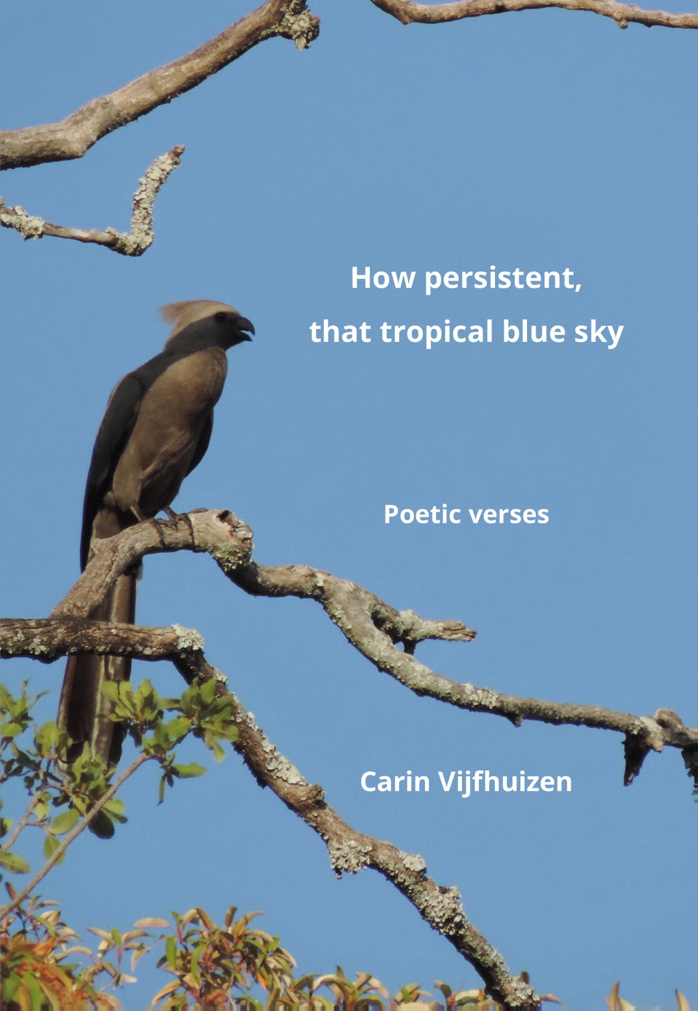 Omslag van How persistent, that tropical blue sky