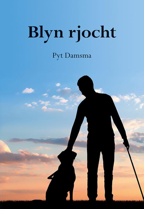Omslag van Blyn rjocht