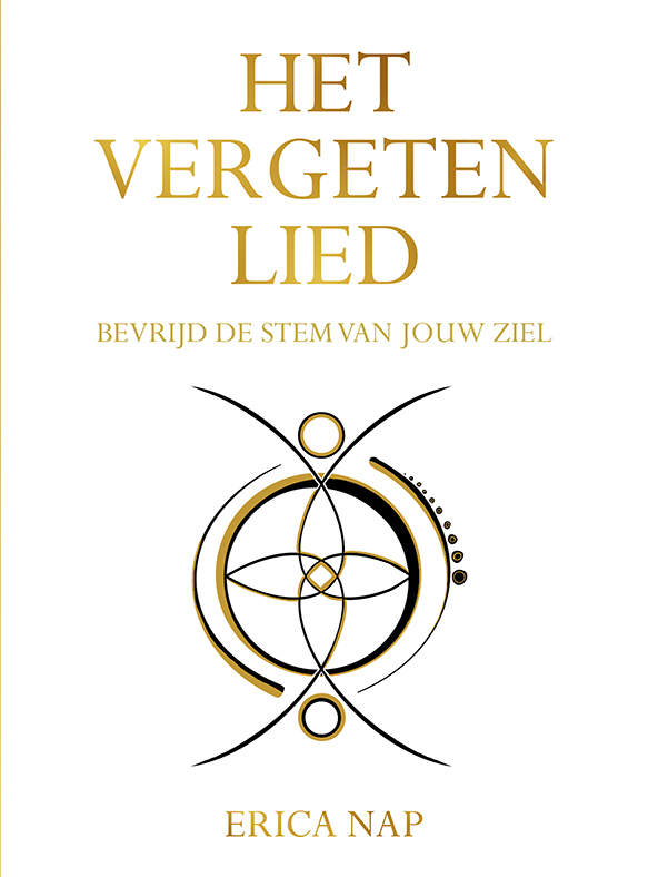 Omslag van Het vergeten lied