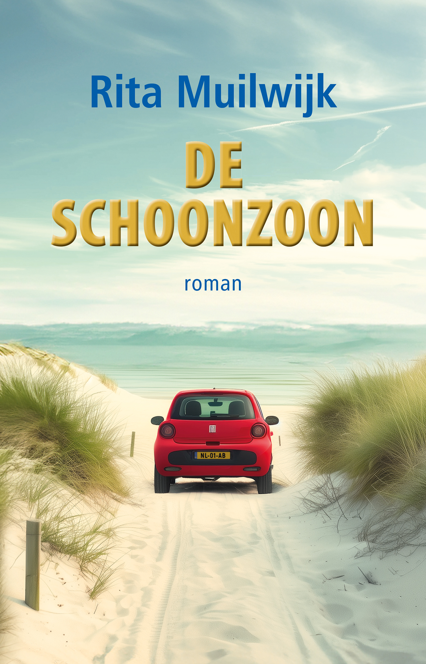 Omslag van De schoonzoon