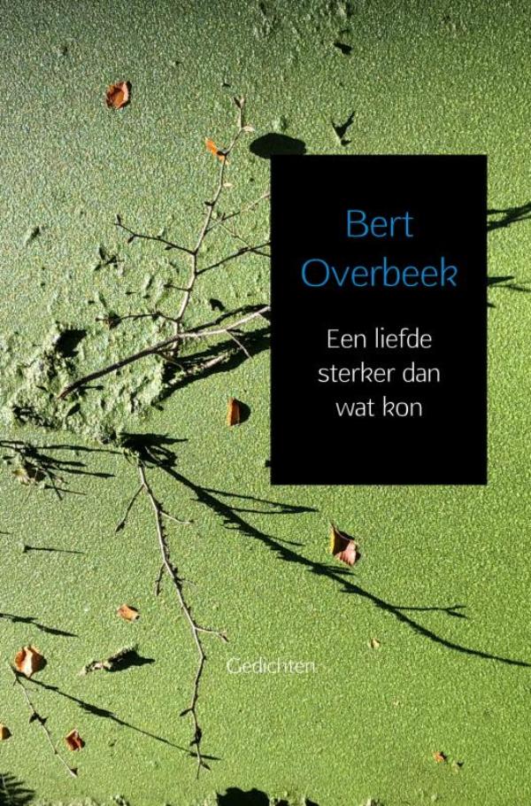 Omslag van Een liefde sterker dan wat kon