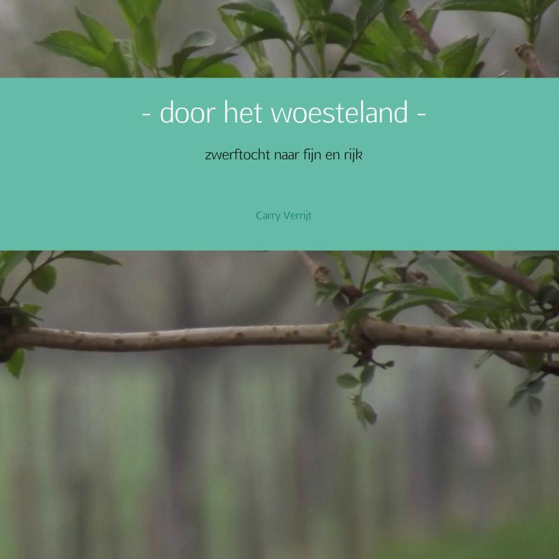 Omslag van - door het woesteland -