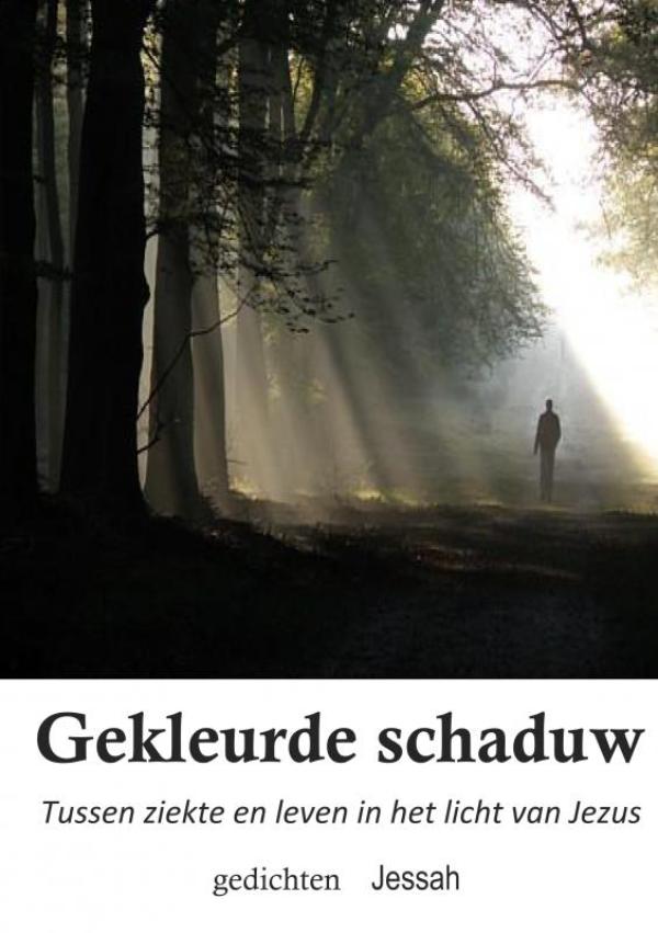 Omslag van Gekleurde schaduw