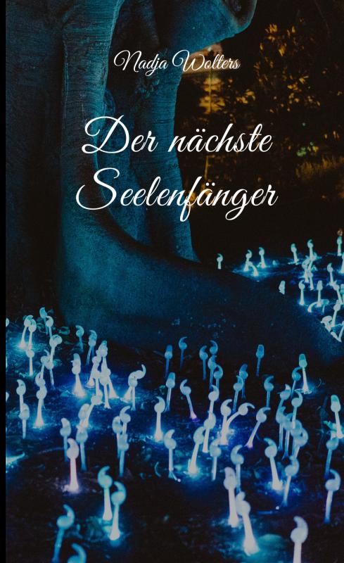 Omslag van Der nächste Seelenfänger