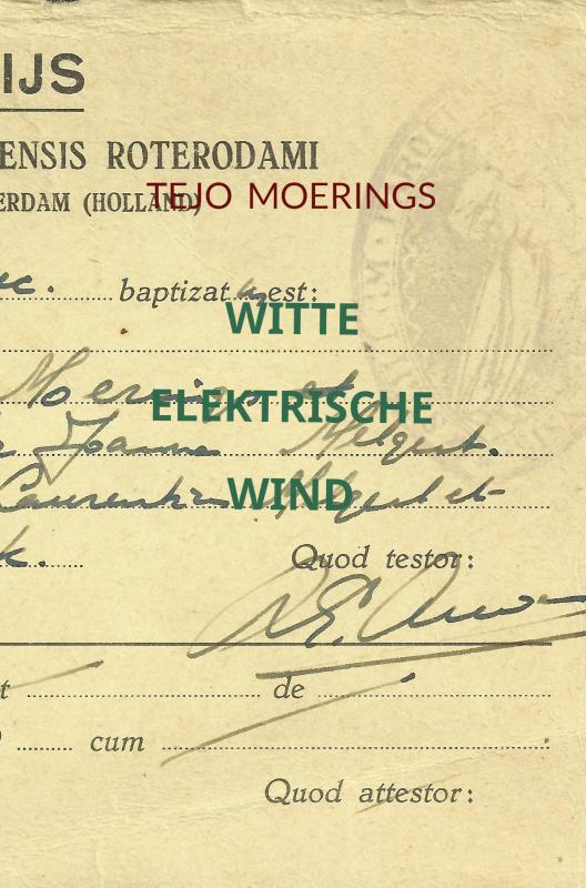 Omslag van Witte Elektrische Wind