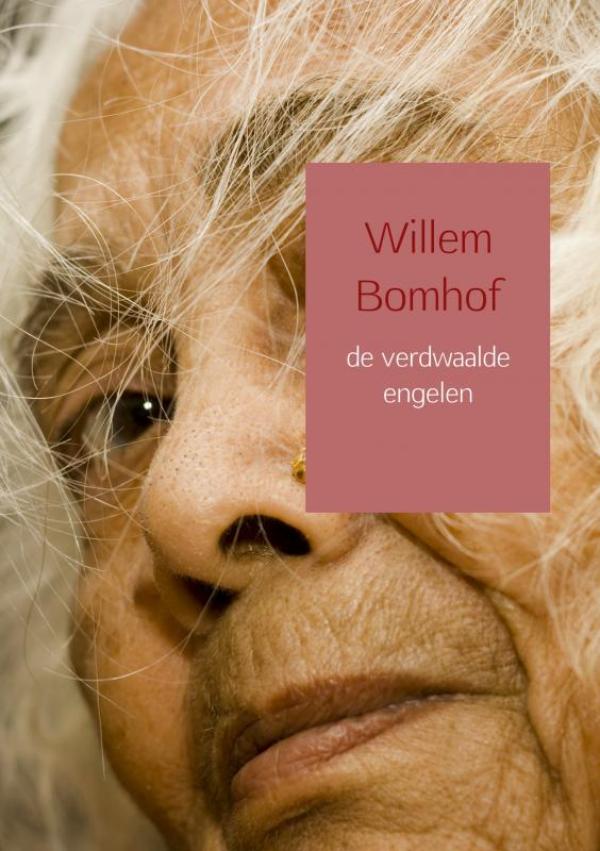Omslag van de verdwaalde engelen