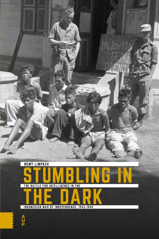 Omslag van Stumbling in the Dark