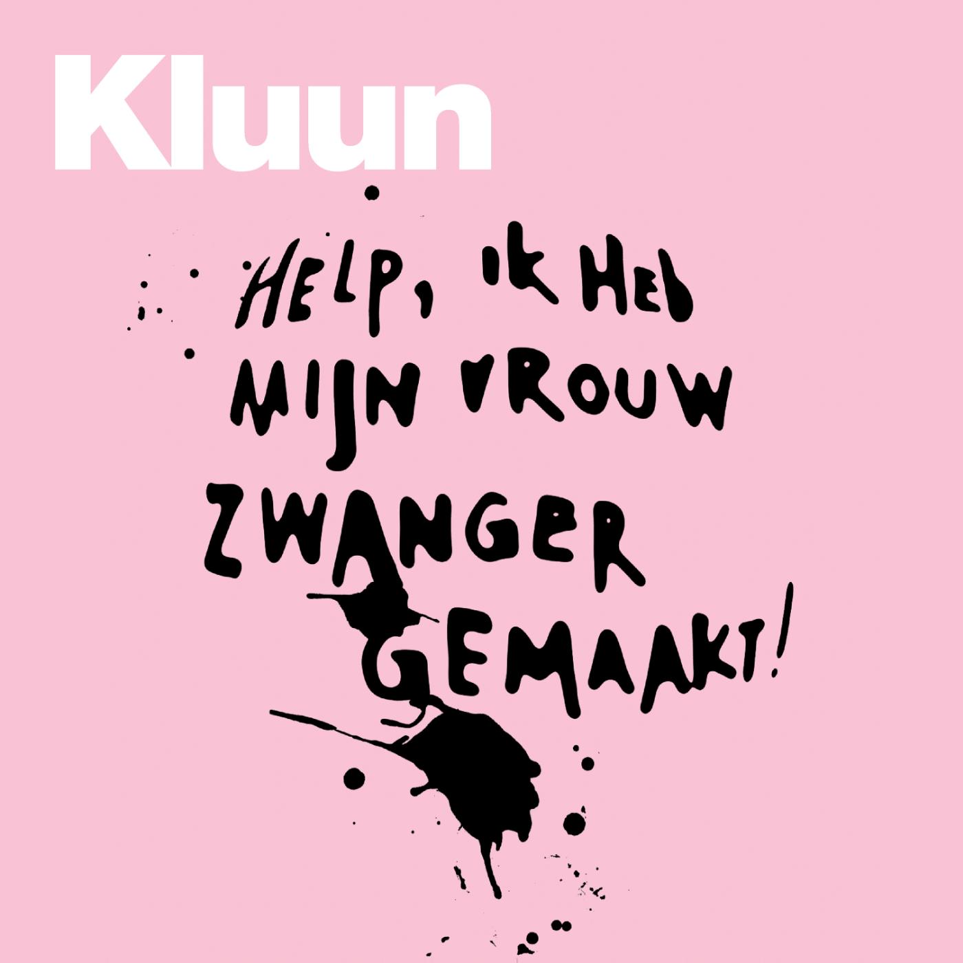 Omslag van Help, ik heb mijn vrouw zwanger gemaakt!