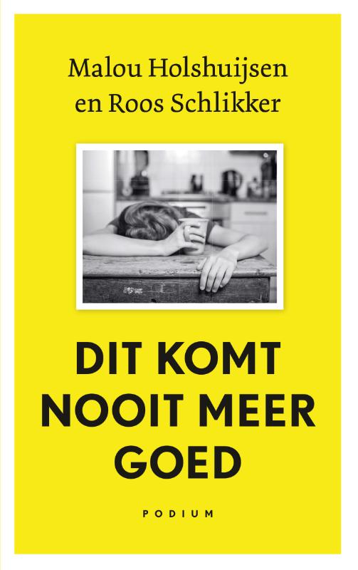 Omslag van Dit komt nooit meer goed