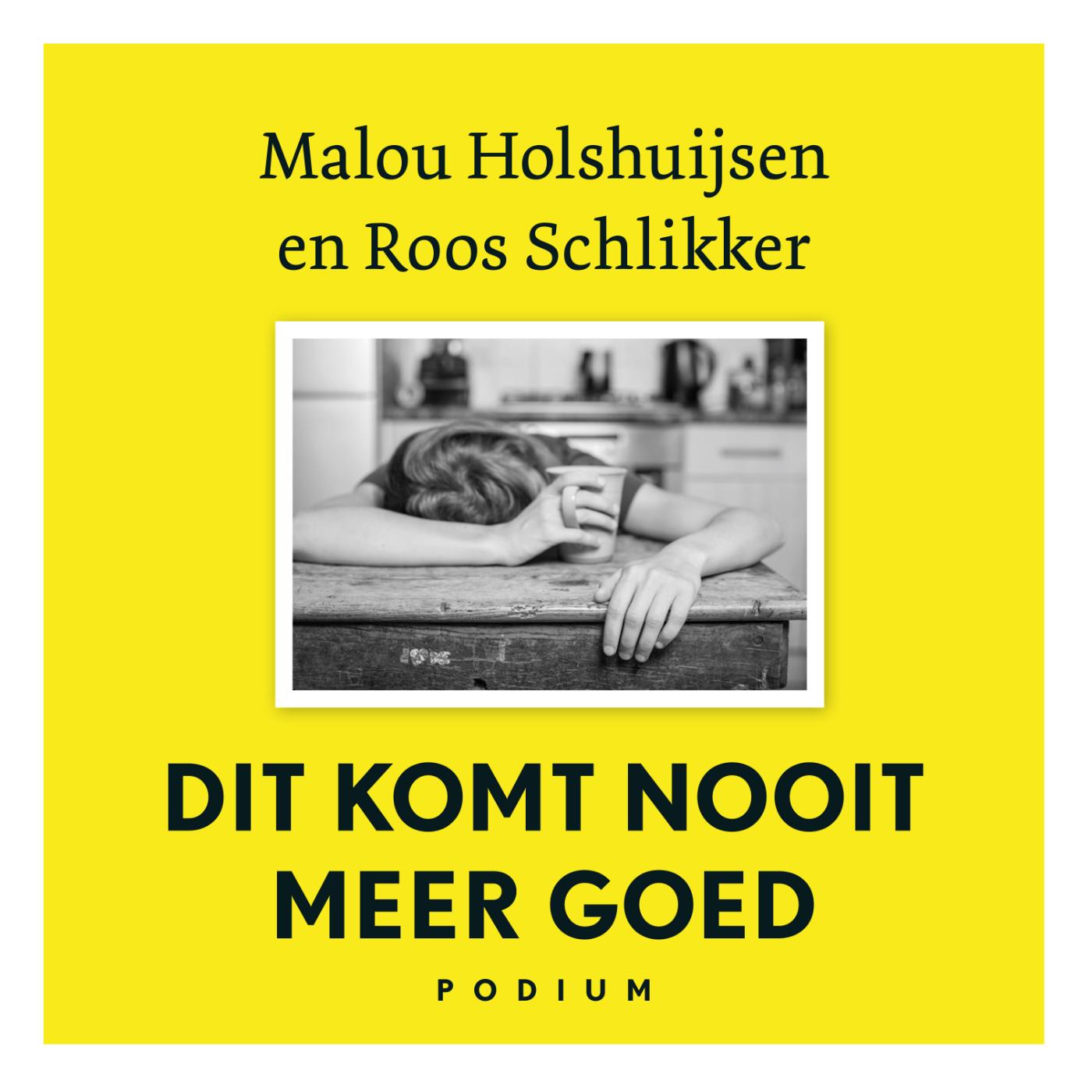 Omslag van Dit komt nooit meer goed