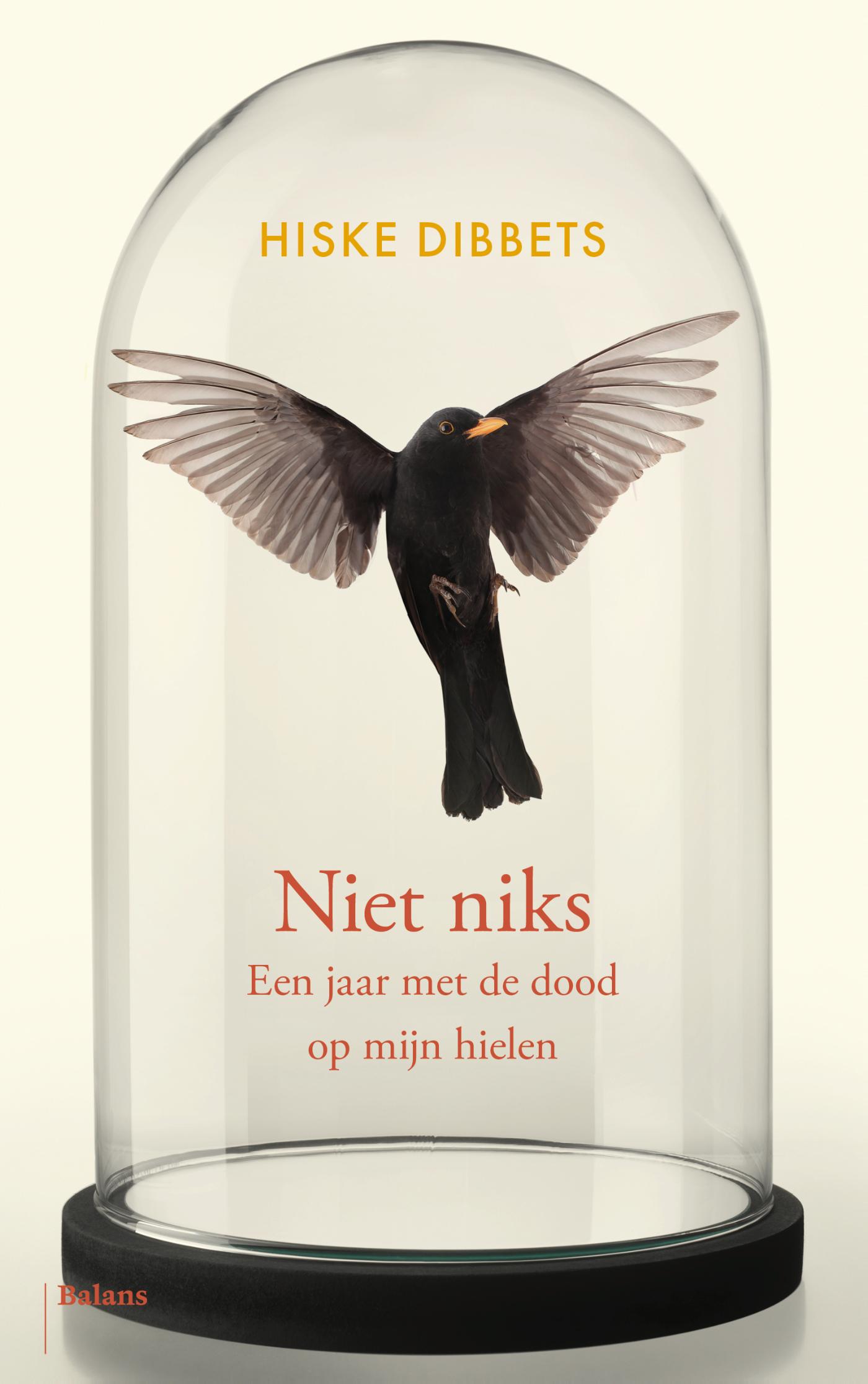 Omslag van Niet niks