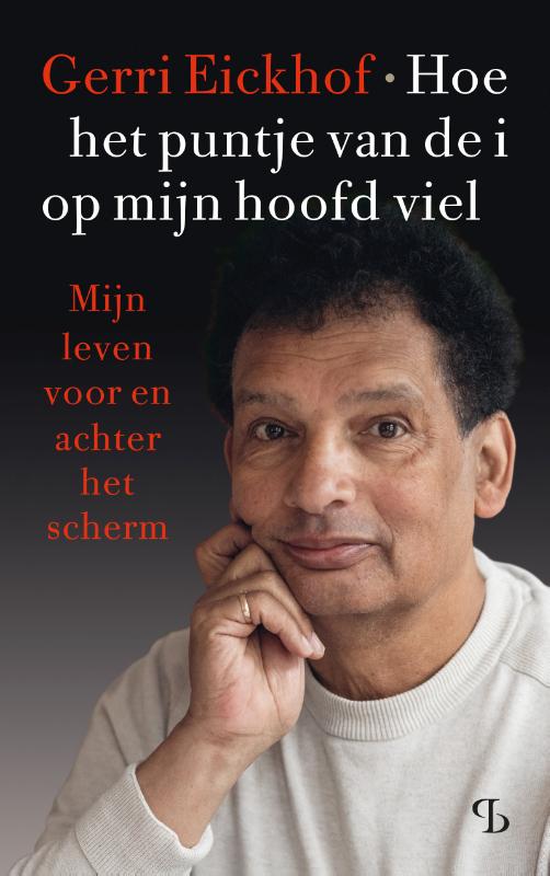 Omslag van Hoe het puntje van de i op mijn hoofd viel