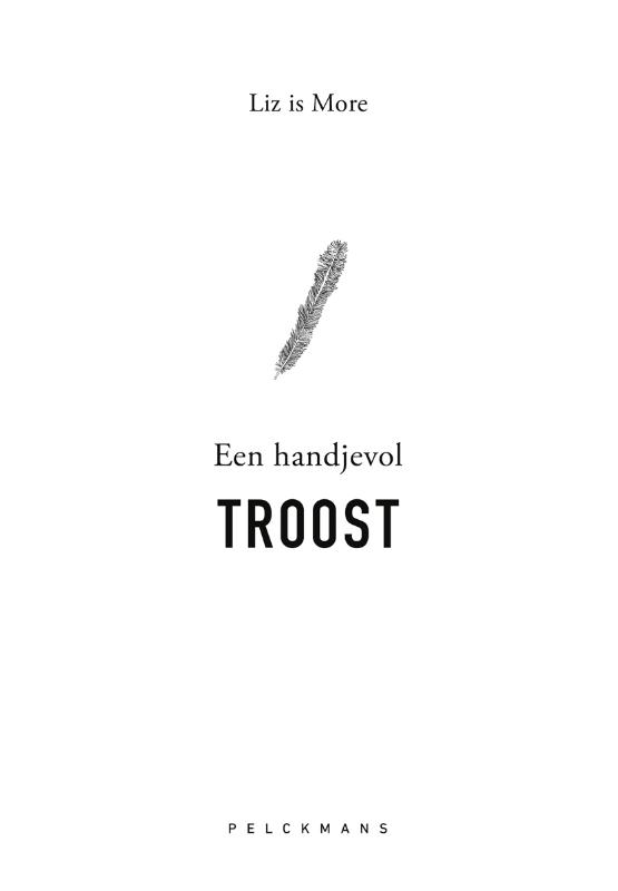 Omslag van Een handjevol troost