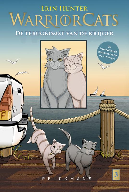 Omslag van 3 Grijsstreeps terugkeer