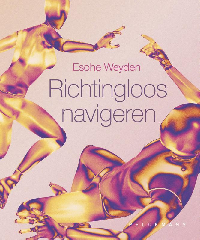Omslag van Richtingloos navigeren