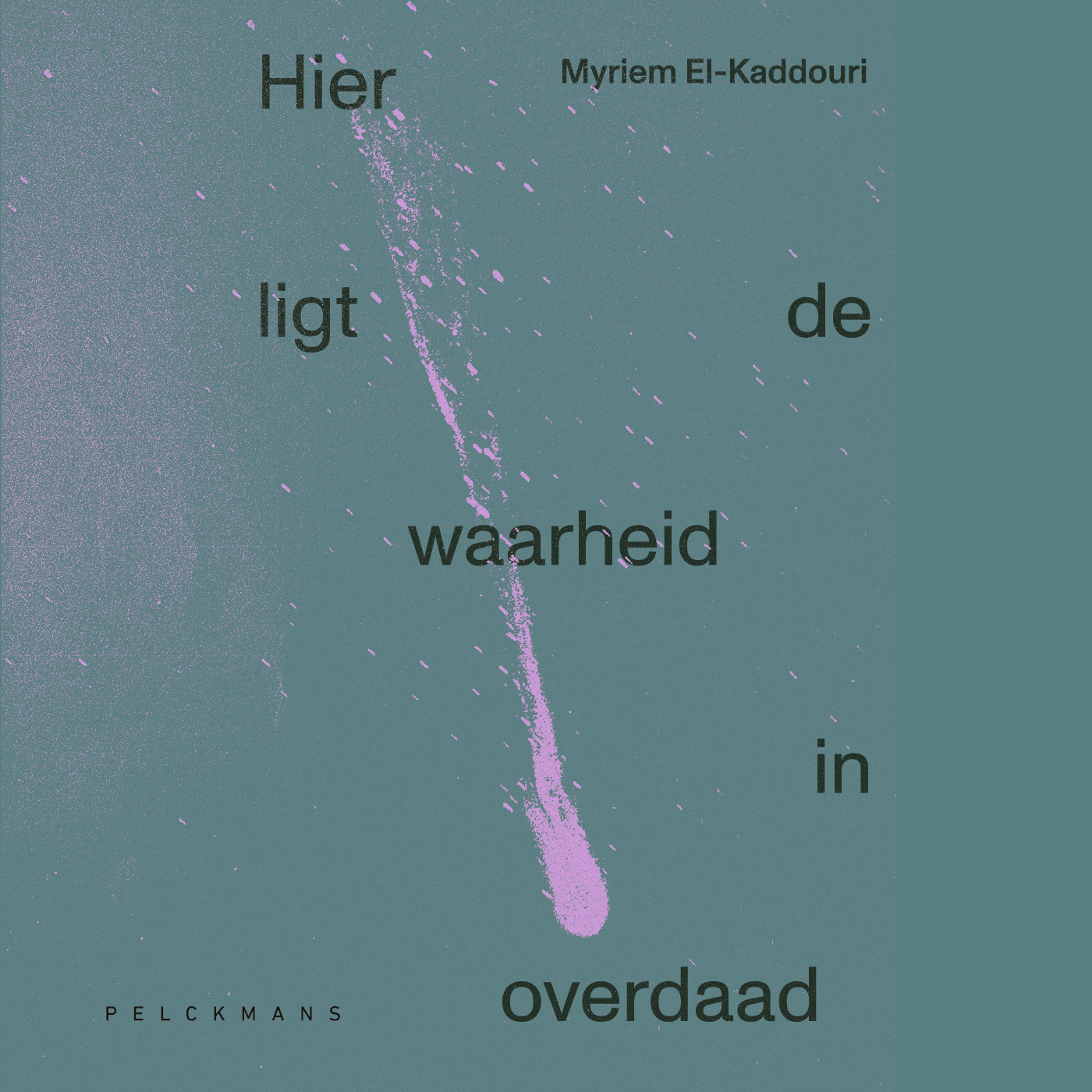 Omslag van Hier ligt de waarheid in overdaad