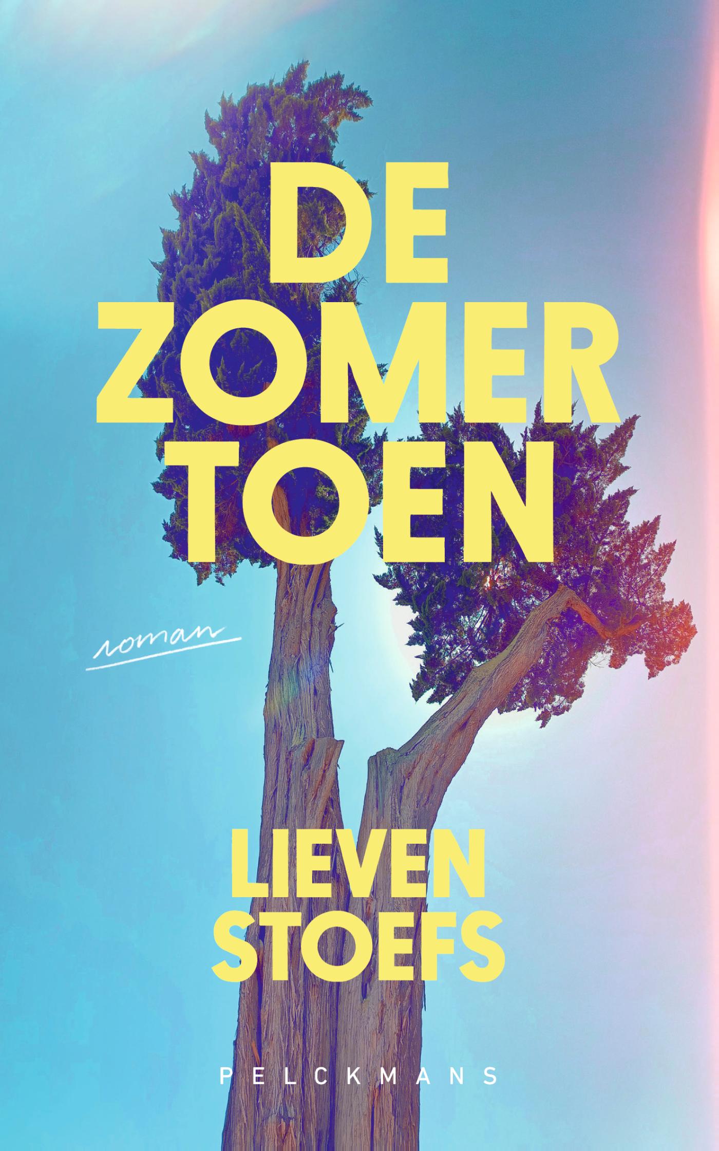Omslag van De zomer toen