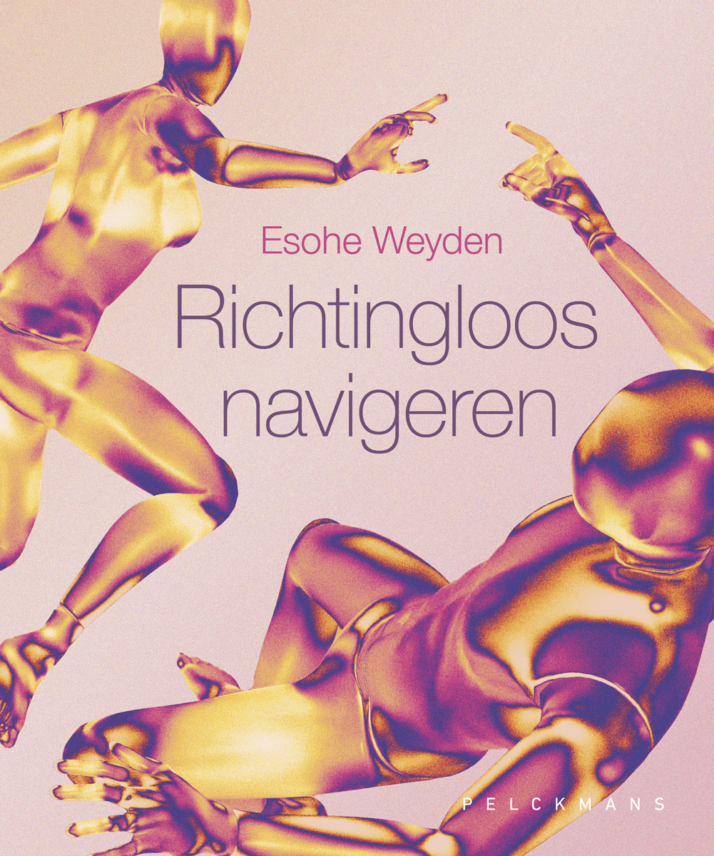 Omslag van Richtingloos navigeren