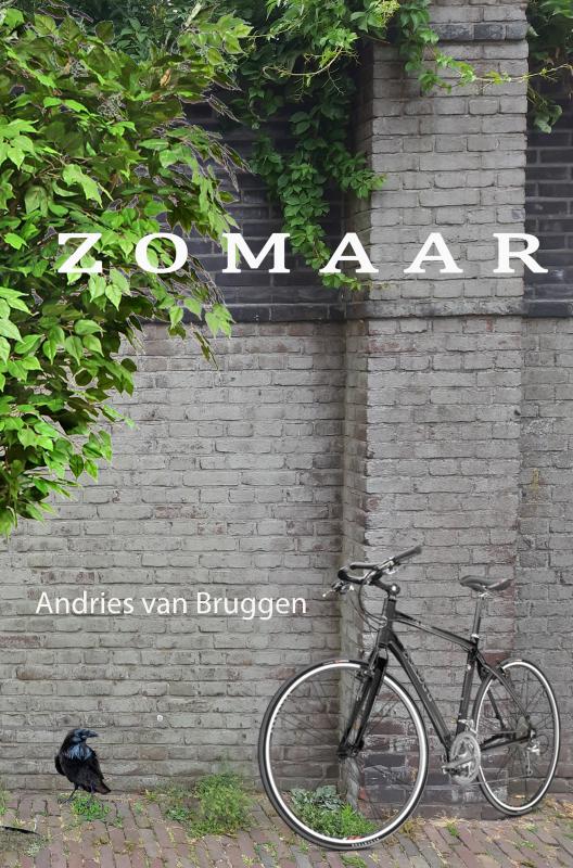Omslag van Zomaar