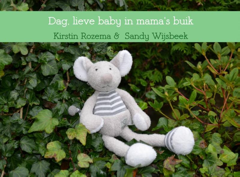 Omslag van Dag, lieve baby in mama's buik