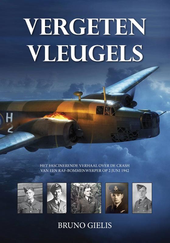 Omslag van Vergeten vleugels