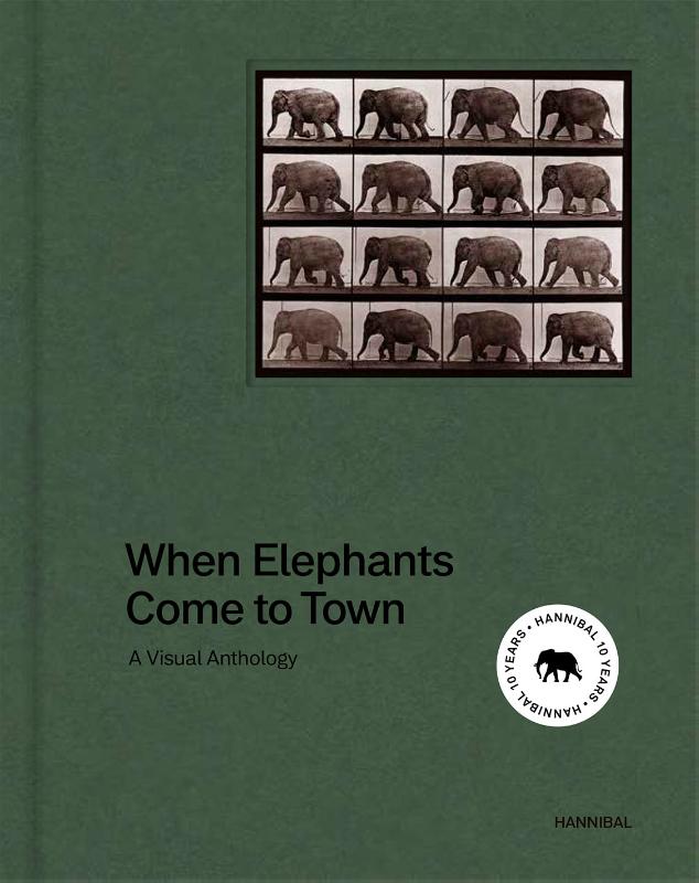 Omslag van When Elephant Come to Town