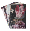Omslag van Phoebus set 2