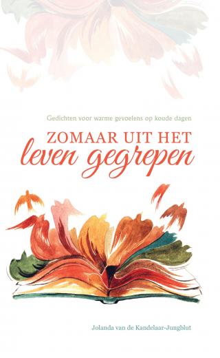 Omslag van Zomaar uit het leven gegrepen