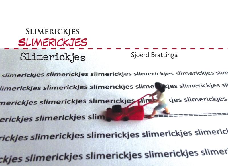 Omslag van Slimerickjes