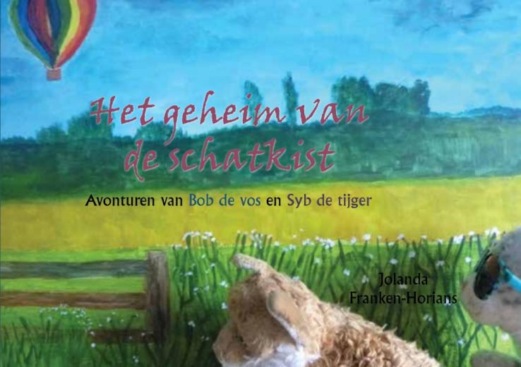 Omslag van Het geheim van de schatkist